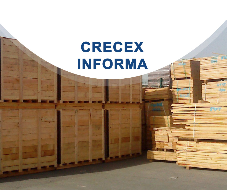 Se actualizan los requisitos de entrada de material de embalaje de madera en Canadá