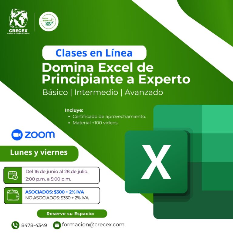 DOMINA EXCEL DE PRINCIPIANTE A EXPERO DEL 16 DE JUNIO AL 28 DE JULIO