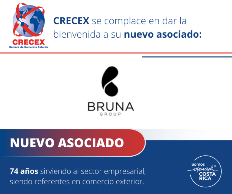 BRUNA GROUP