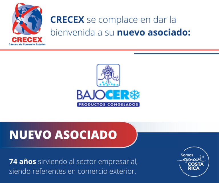 CONGELADOSBAJOCERO