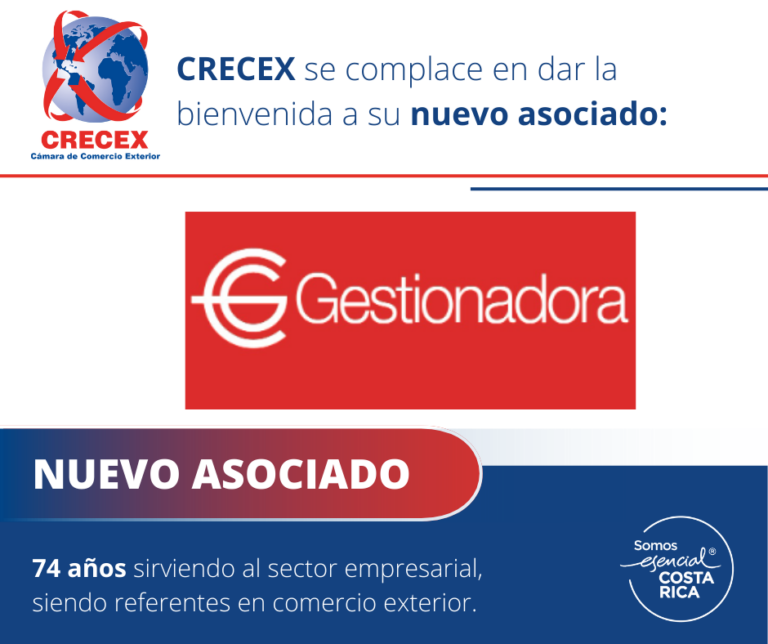 GESTIONADORA