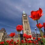 Canadá busca hacer negocios con Costa Rica: ¡Conecte con empresas canadienses en la Misión Comercial Virtual 2026!